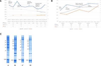 Case Report: Exploration of changes in serum immunoinflammation-related protein complexes of patients with metastatic breast cancer